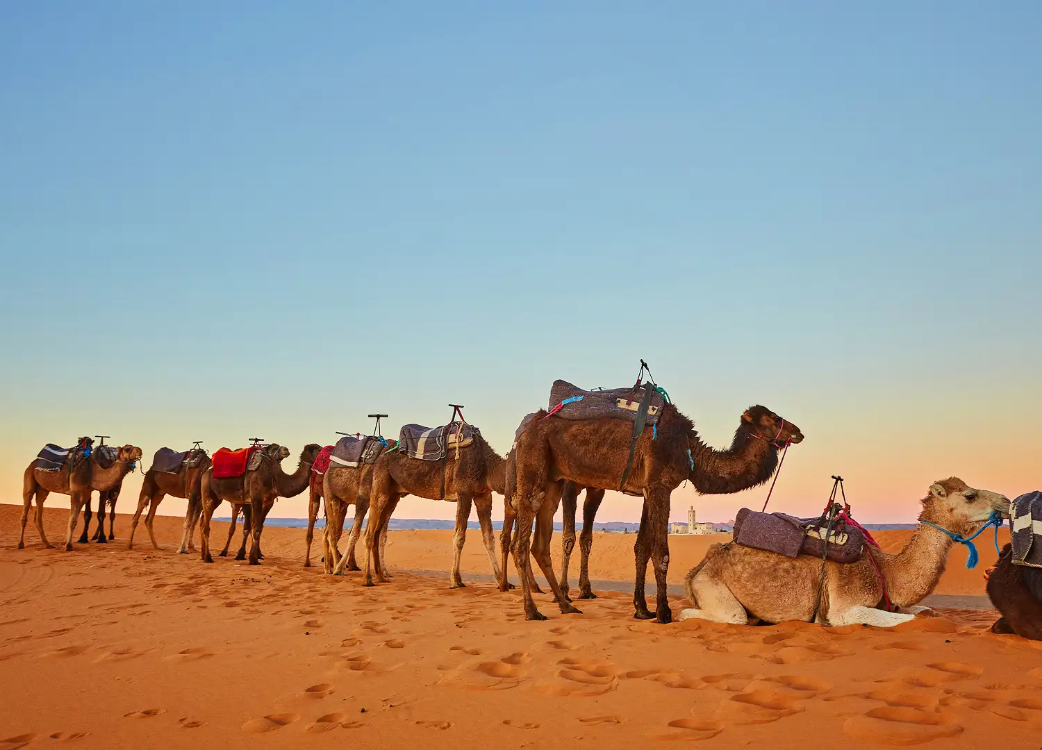 travel-and-tour